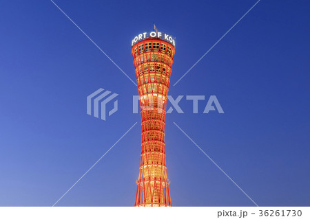 神戸・メリケンパークの夜景 36261730