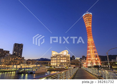 神戸・メリケンパークの夜景 36261732