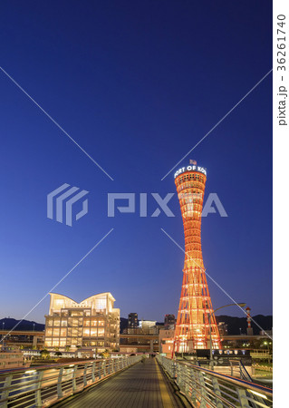 神戸・メリケンパークの夜景 36261740