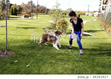 Dog Trainer Fetch Play Dog Trainer Fetch Play 36263927