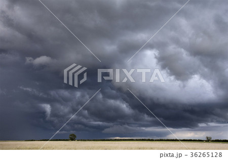Storm Clouds Canada 36265128