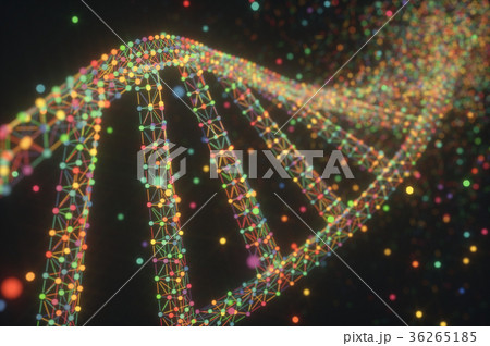 DNA Molecule Structure DNA Molecule Structure 36265185