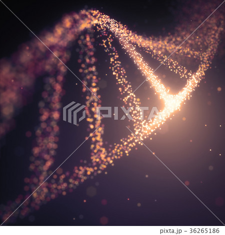 DNA Molecule Structure DNA Molecule Structure 36265186