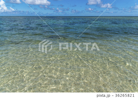 米原ビーチ（石垣島） 36265821