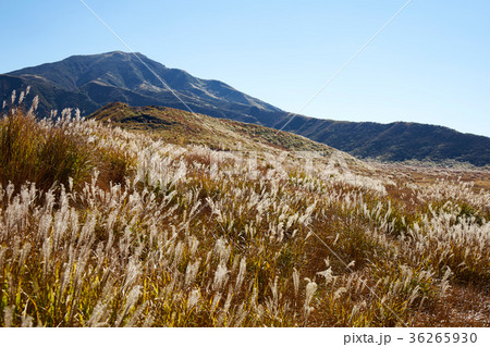 草千里 草千里 36265930