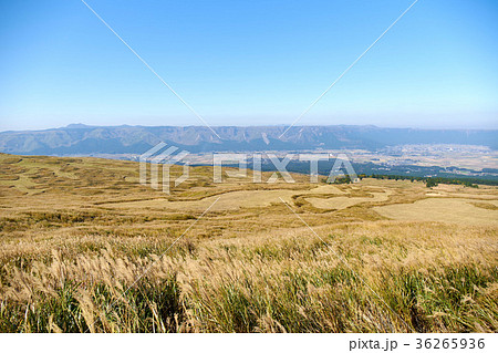 阿蘇の風景 36265936