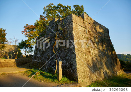 岡城跡 36266098