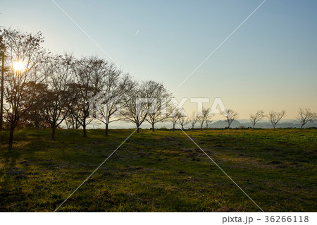 岡城跡からの風景 36266118