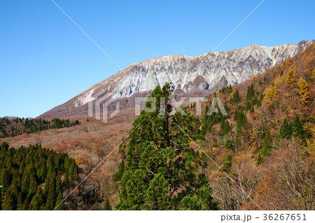 鍵掛峠より望む大山 36267651