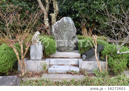 館山城　本丸跡に建つ石碑 36272601