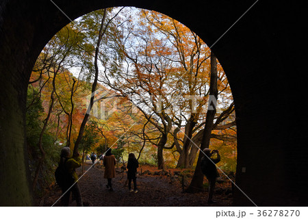 愛岐トンネル　 36278270