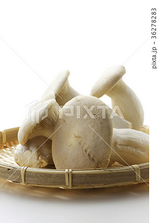 エリンギ18 エリンギ18 36278283