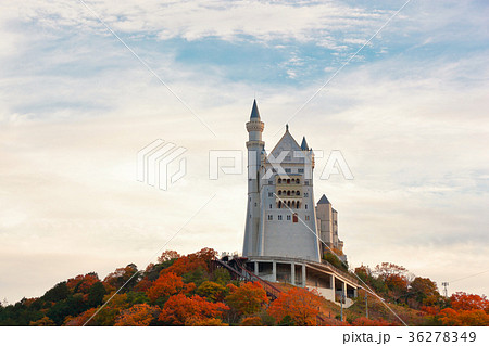 太陽公園 36278349