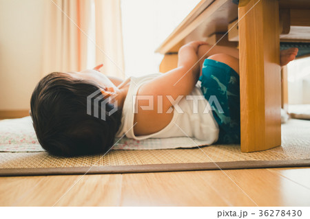 1 year old 1 year old 36278430