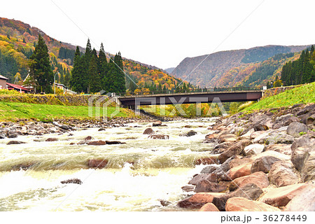 関川の流れ 関川の流れ 36278449