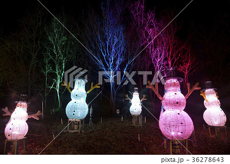 京都イルミエール（京都府南丹市園部町） 36278643