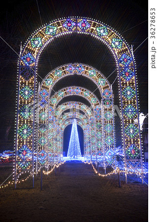 京都イルミエール（京都府南丹市園部町） 36278653