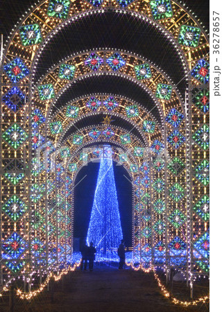 京都イルミエール（京都府南丹市園部町） 36278657