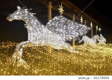 京都イルミエール（京都府南丹市園部町） 36278666