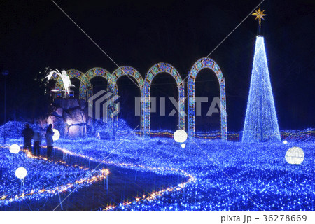 京都イルミエール（京都府南丹市園部町） 36278669