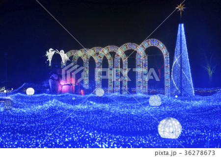 京都イルミエール（京都府南丹市園部町） 36278673