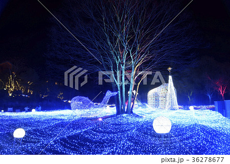 京都イルミエール（京都府南丹市園部町） 36278677