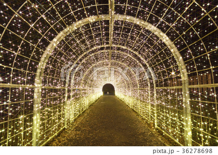 京都イルミエール　出入口ゲート（京都府南丹市園部町） 36278698