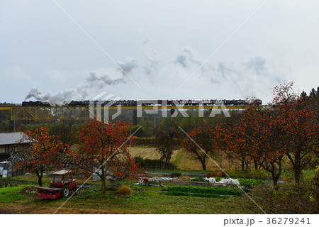 一の戸橋梁を渡るSLばんえつ物語号 36279241