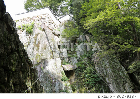 備中松山城 36279337