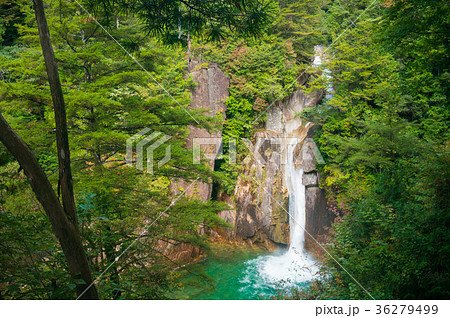 長野県 柿其渓谷の牛ヶ滝 36279499