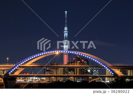 都市風景　首都高五色桜大橋と東京スカイツリー　夜景 36280022