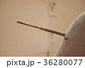 紫電改のピトー管 36280077