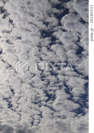 自然 気象 ひつじ雲 羊の群れのような高積雲 天候が崩れる前兆と言われていますがほぼ当たるそうですの写真素材