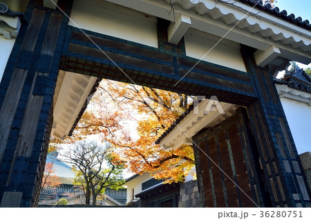 皇居　田安門 36280751