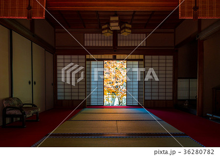 雲龍院の書院悟之間 36280782