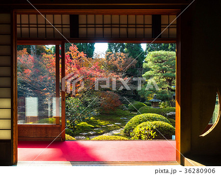 秋の雲龍院 秋の雲龍院 36280906