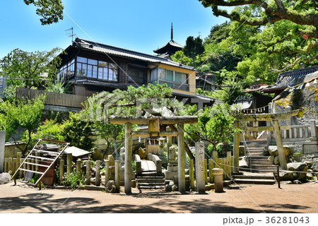 尾道　千光寺周辺　艮神社 36281043