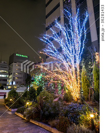 深川ギャザリア　イルミネーション 36281433