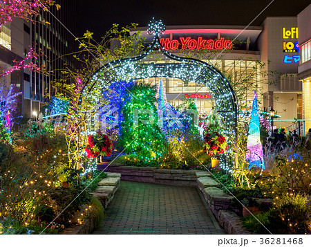 深川ギャザリア　イルミネーション 36281468