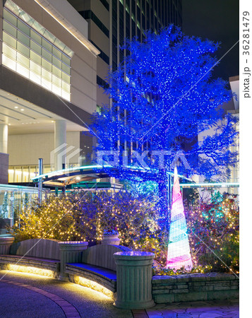 深川ギャザリア イルミネーション 深川ギャザリア イルミネーション 36281479