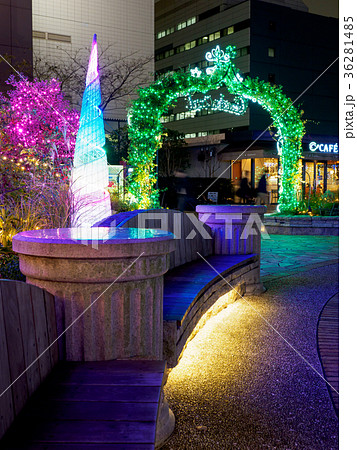 深川ギャザリア　イルミネーション 36281485