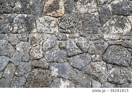 沖縄の石塀 沖縄の石塀 36281815