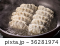 Japanese Gyoza  36281974