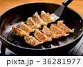 Japanese Gyoza  36281977