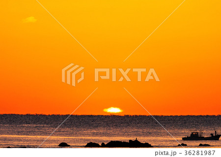 ダルマ太陽(2月 三重県 日の出 朝日) ダルマ太陽(2月 三重県 日の出 朝日) 36281987