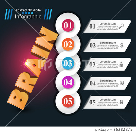 Brain 3d business infographics. 36282875
