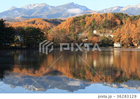 松原湖 松原湖 36283129