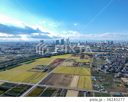 空撮　見沼田んぼとさいたま新都心　上山口新田 36283277