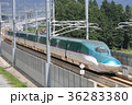 北海道新幹線 H5系　はやぶさ 36283380
