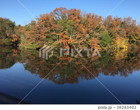 紅葉風景 36283402